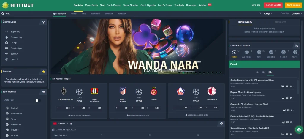 Hititbet giriş